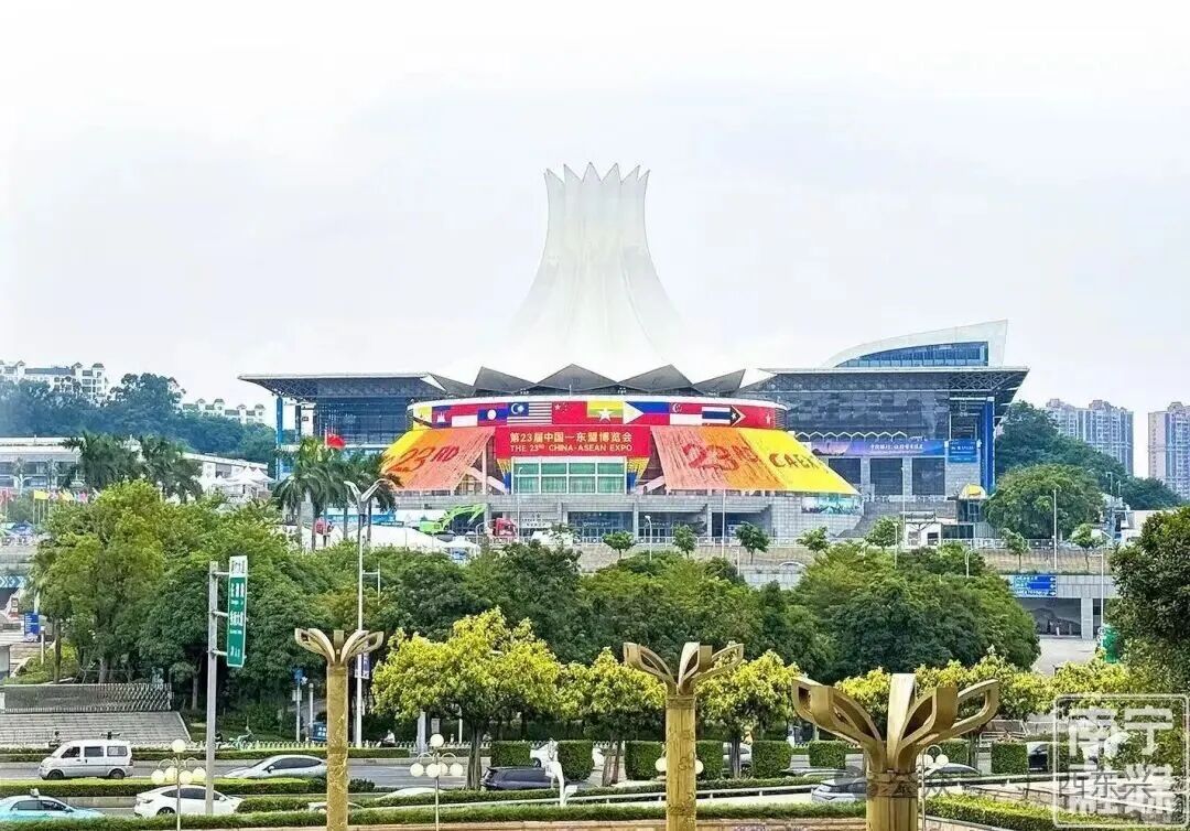 11国首次在南宁齐聚！东博会“朋友圈”迎来历史性时刻
